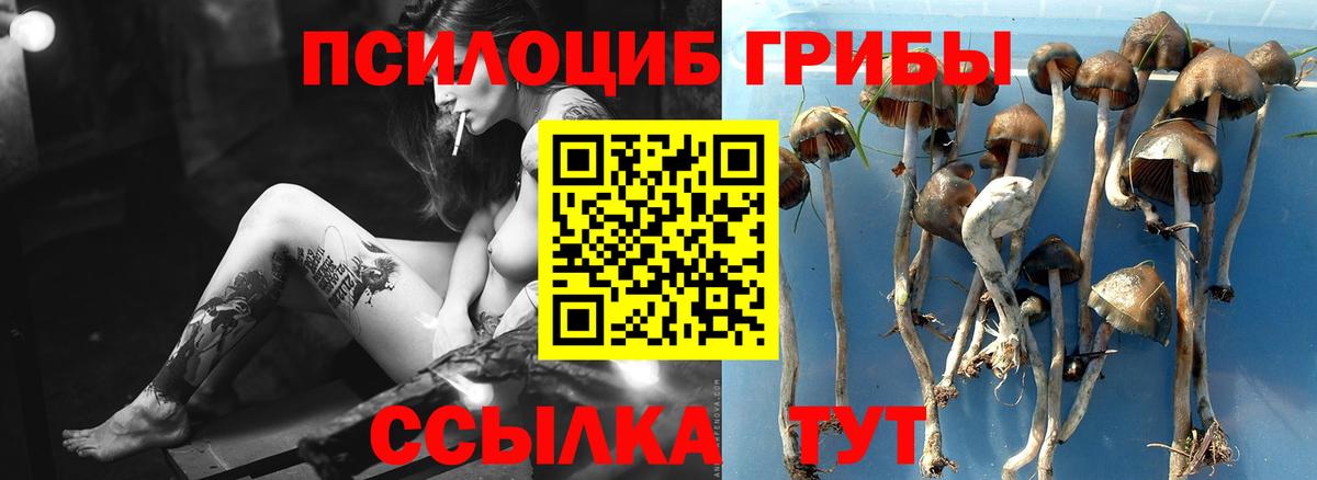 Галлюциногенные грибы мухоморы Чернушка